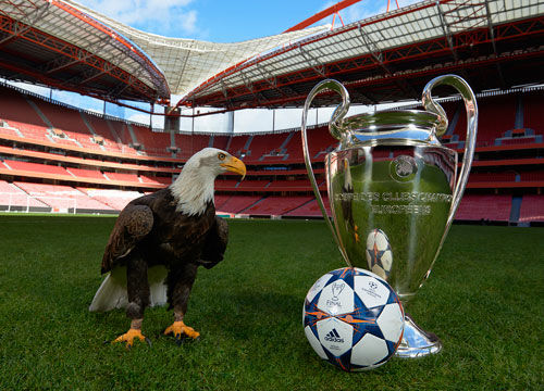 剪辑成谁瓦真金白银就现在